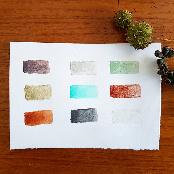 Gum Nut & Foliage Set - Wildwood Collection